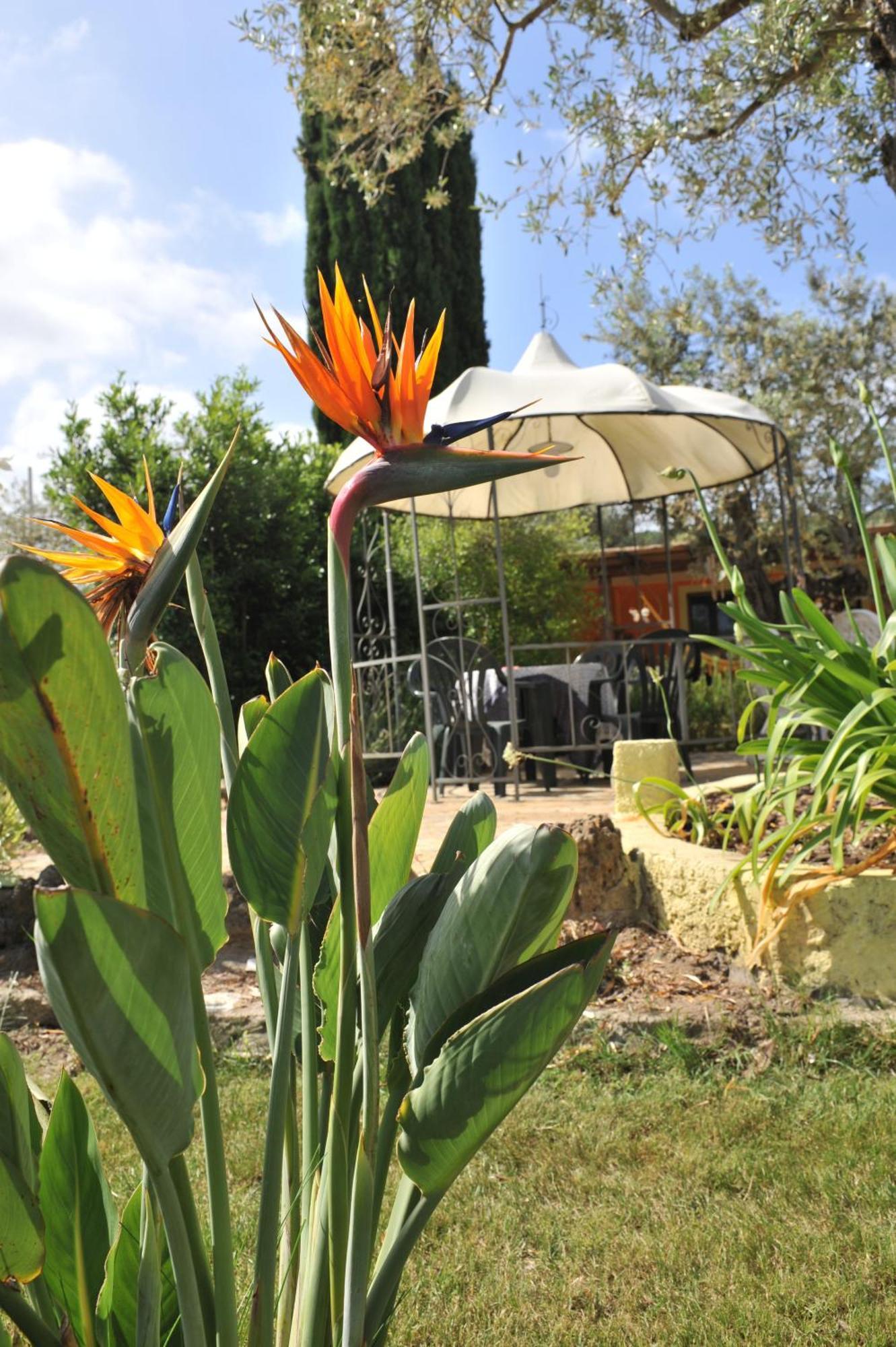 Butterfly House Bed & Breakfast Alghero Exteriér fotografie